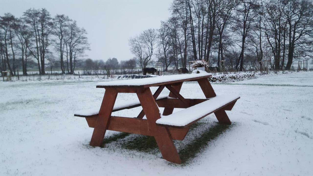 Oberlangen Emsdueneヴィラ エクステリア 写真