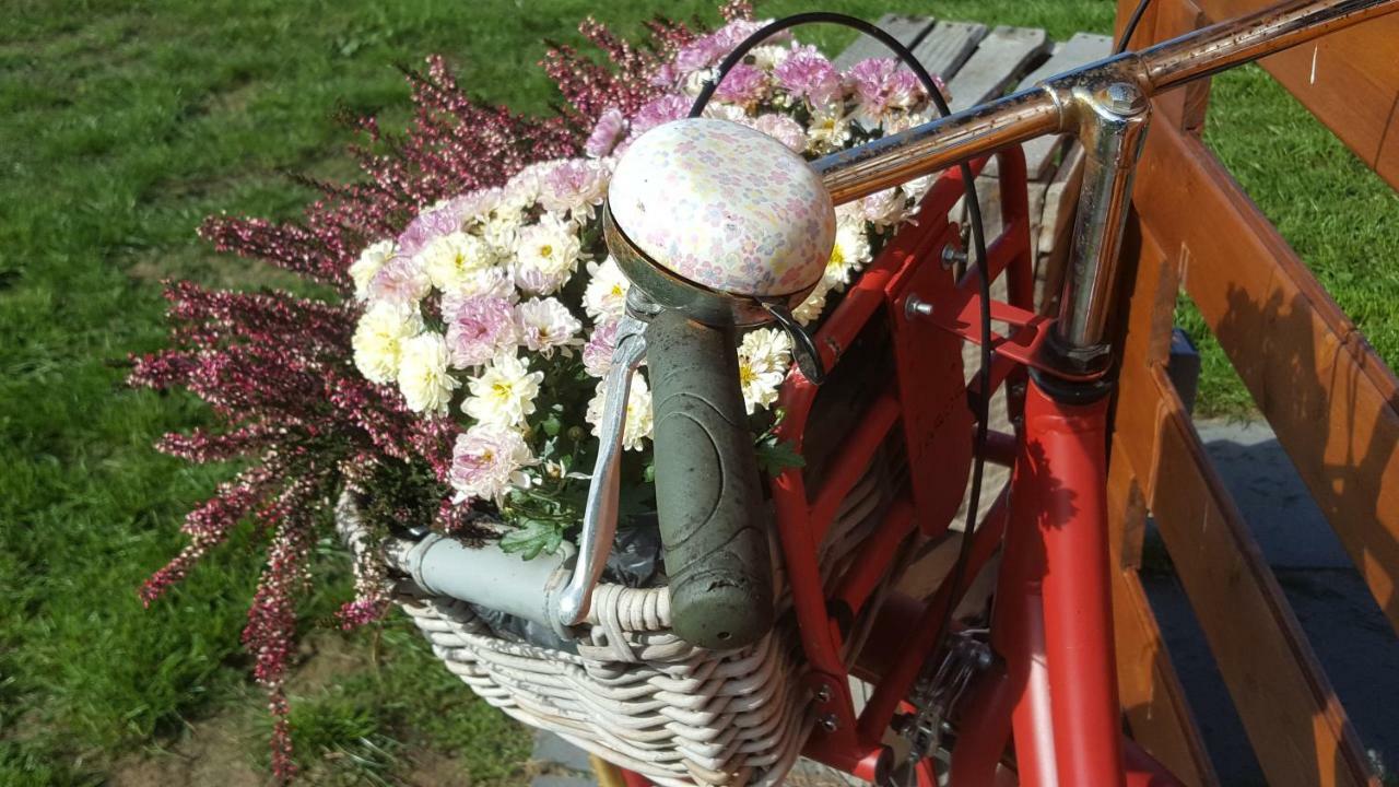 Oberlangen Emsdueneヴィラ エクステリア 写真
